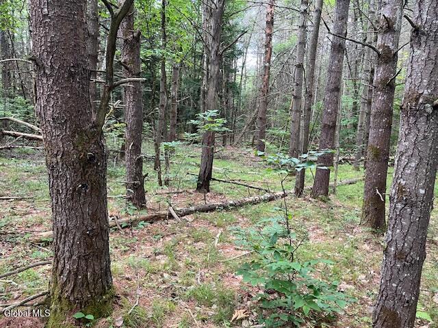 L34 Fred Jensen Road Middleburgh, NY 12122 - Photo 19 of 20 IMG_5705