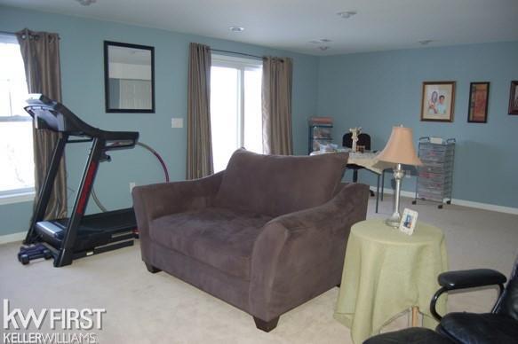 10071 Ridge Run Street Howell, MI 48855 - Photo 20 of 25