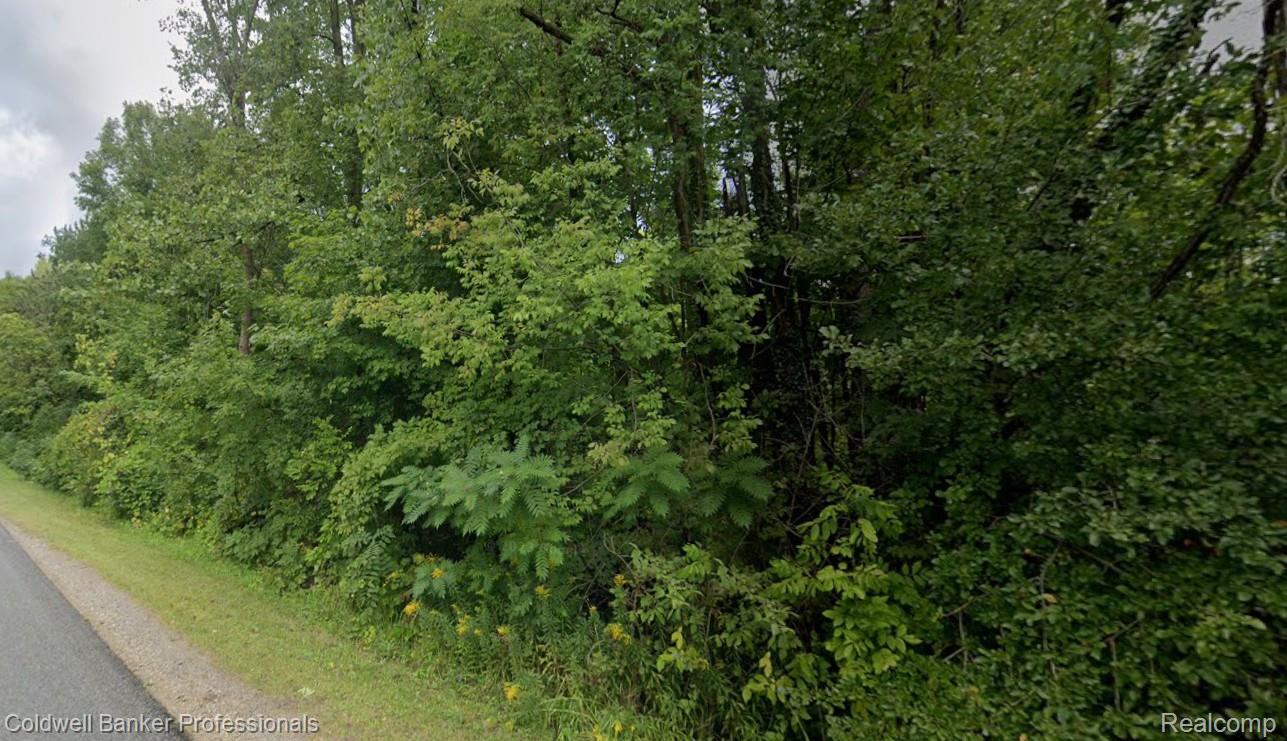0 72nd Street Covert, MI 49043 - Photo 1 of 1 72nd St, Covert.jpg