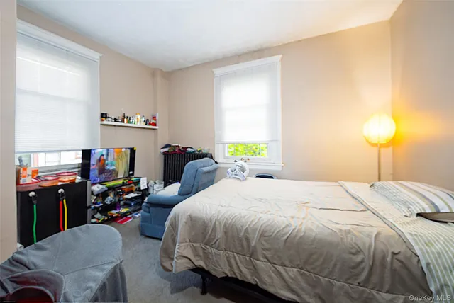 a bedroom with a bed and a tv