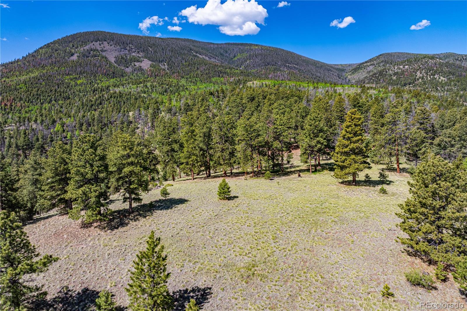 298 Steven Road Canon City, CO 81212 - Photo 24 of 35