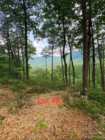 $275,000 | Lot 43 Deep Gap Farm Road East, Mill Spring, NC 28756