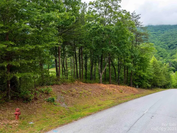 $275,000 | Lot 43 Deep Gap Farm Road East, Mill Spring, NC 28756