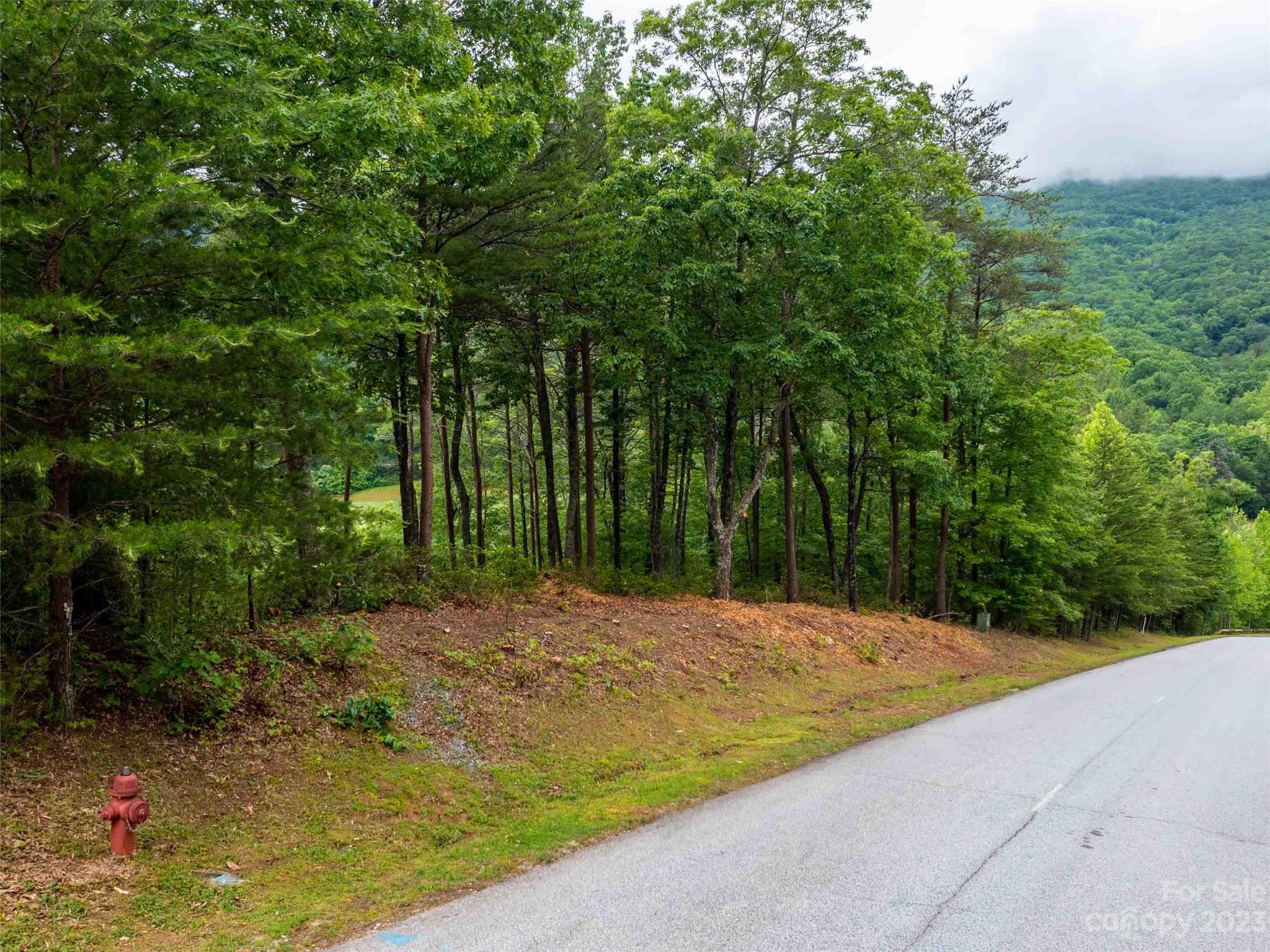 Lot 43 Deep Gap Farm Road East Mill Spring, NC 28756 - Photo 3 of 7