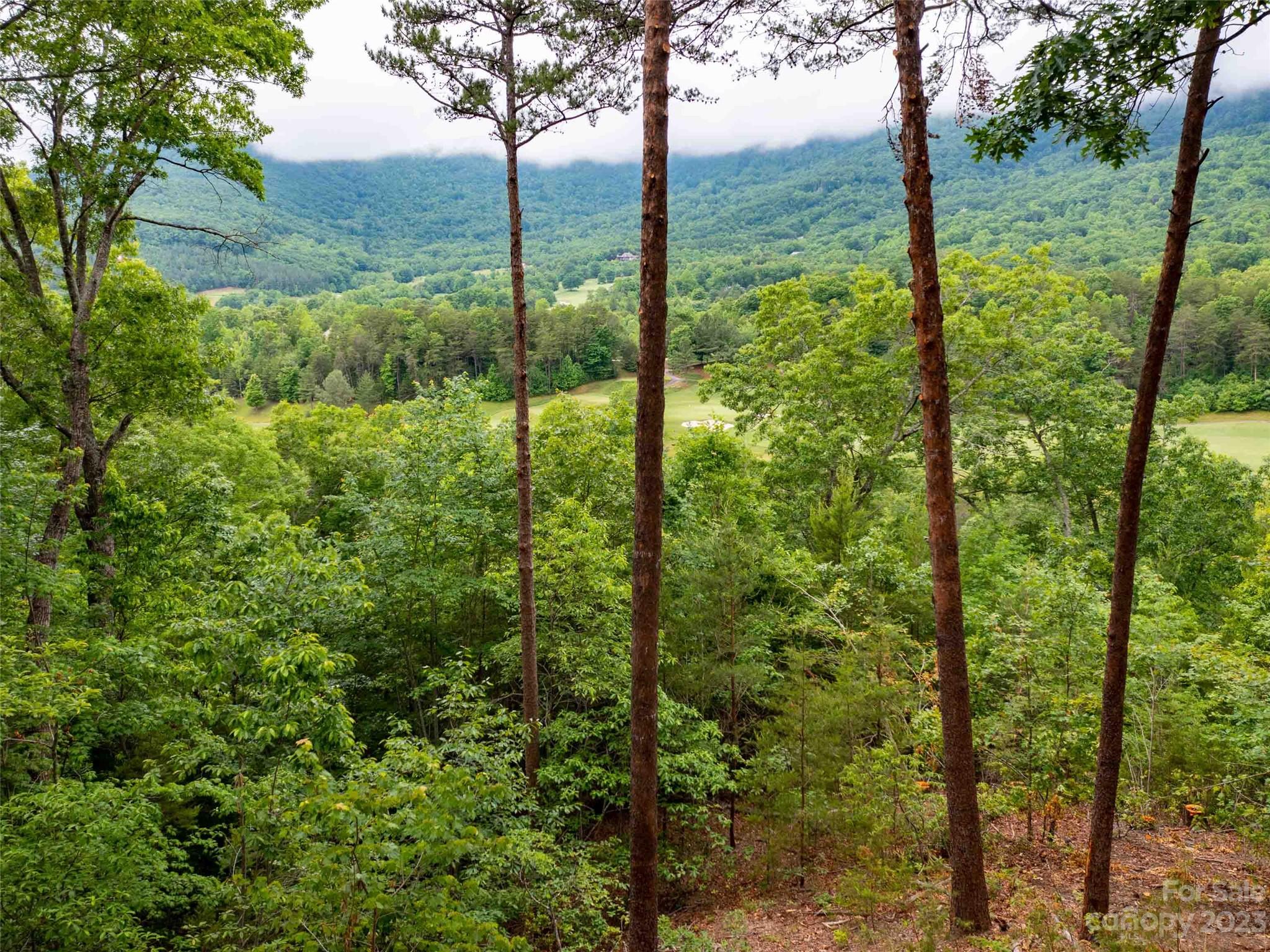 Lot 43 Deep Gap Farm Road East Mill Spring, NC 28756 - Photo 5 of 7