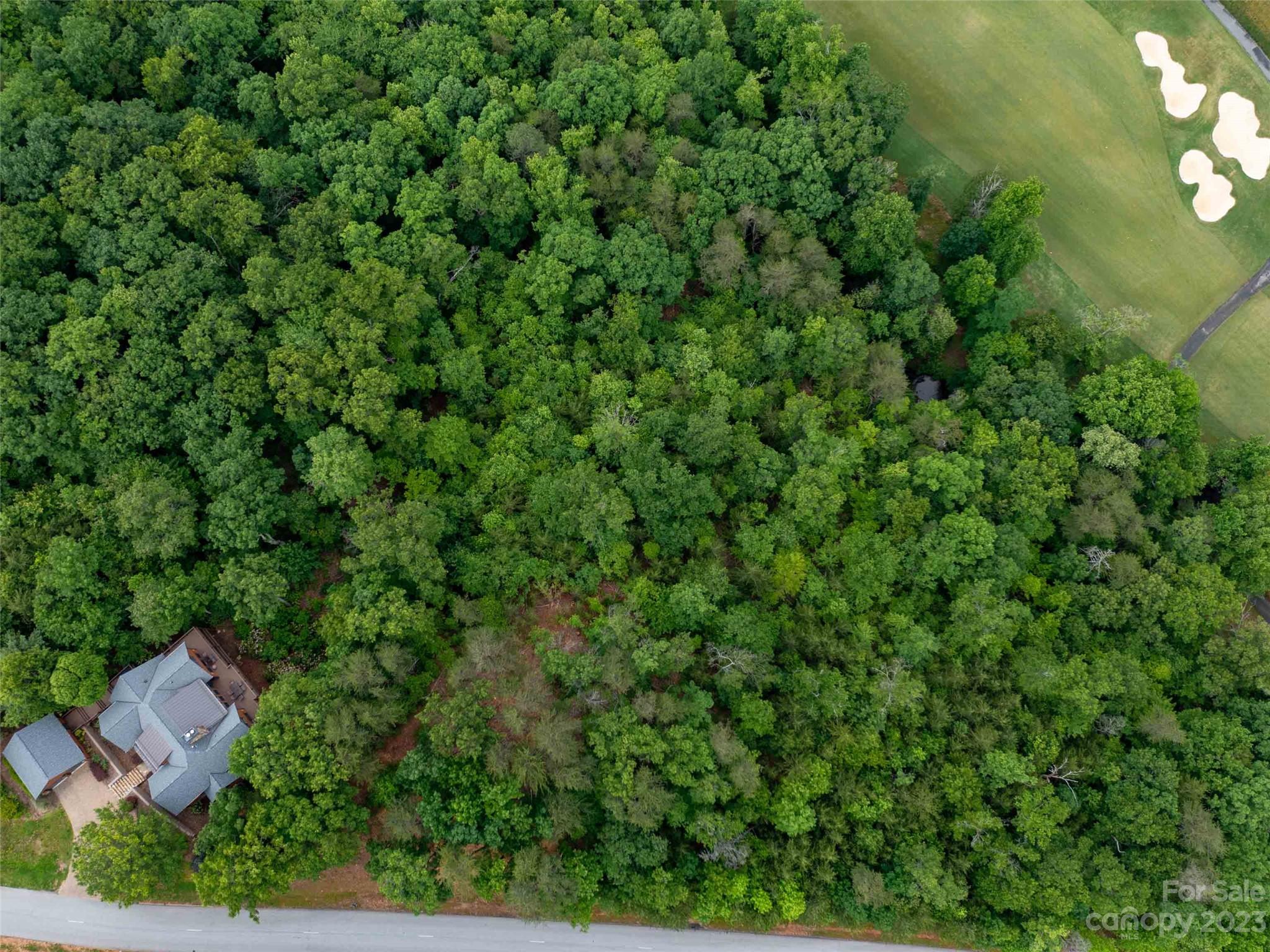 Lot 43 Deep Gap Farm Road East Mill Spring, NC 28756 - Photo 7 of 7