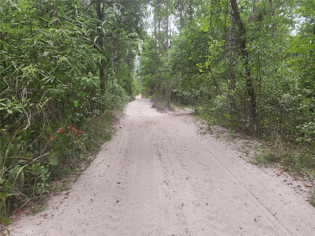 12th Avenue DeLand, FL 32724 - Photo 2 of 12 a view of a dirt pathway both side of a road