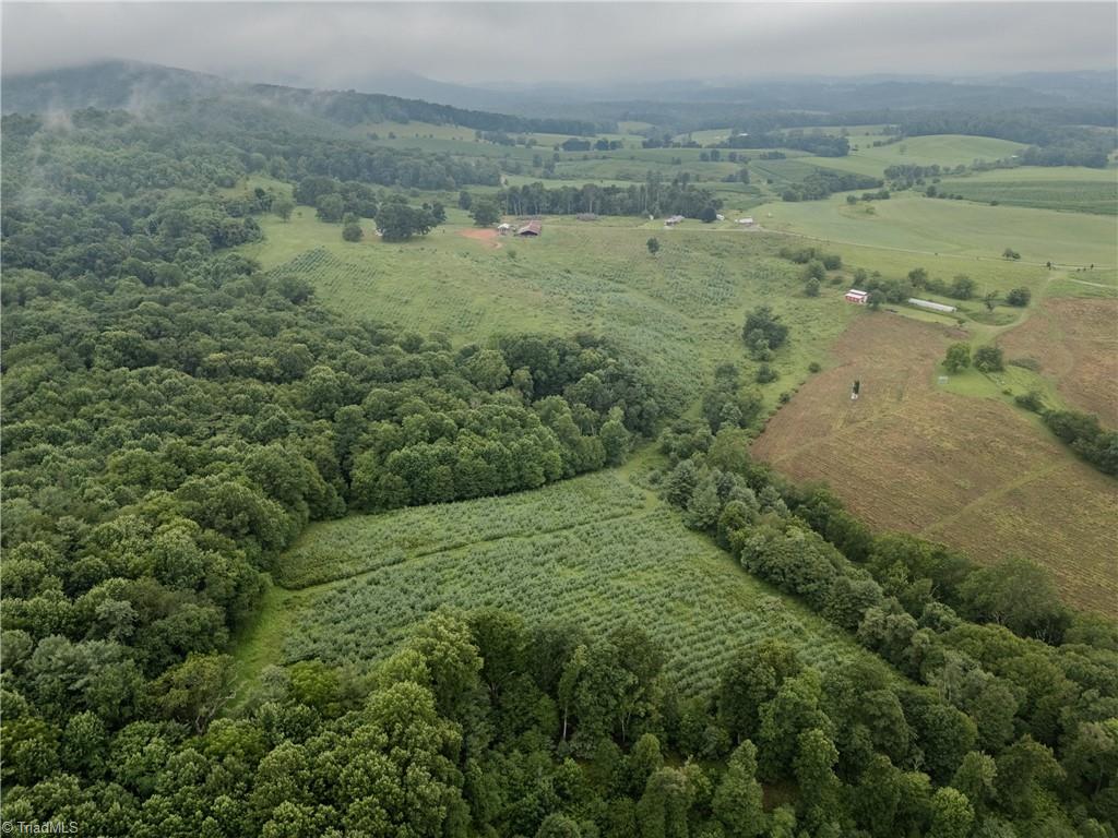 0 Bledsoe Road Sparta, NC 28675 - Photo 11 of 14 Gallery Image 11