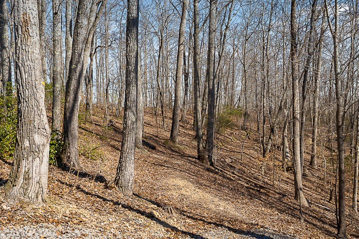 1695 Ponder Road Smithville, TN 37166 - Photo 38 of 44 Gallery Image 38