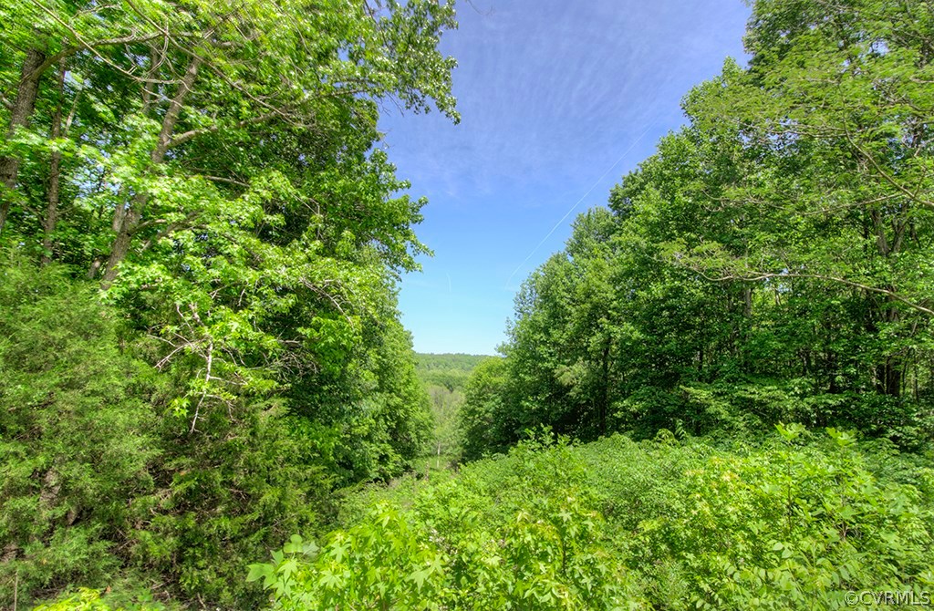 988 Manteo Road Buckingham, VA 23921 - Photo 20 of 24 a view of a garden