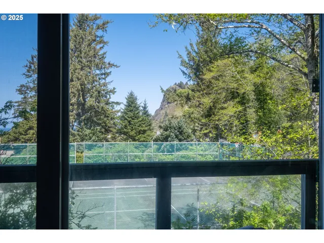 a view of backyard from window