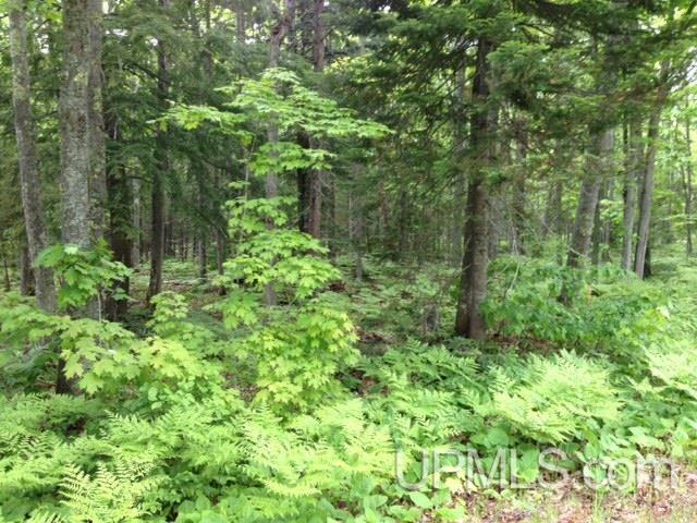 2 Bootjack Road, Unit PRINCESS POINT AREA Lake Linden, MI 49945 - Photo 10 of 20