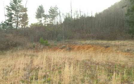 Lot 5 Preston Brown Ridge Marble, NC 28905 - Photo 1 of 1 Main View