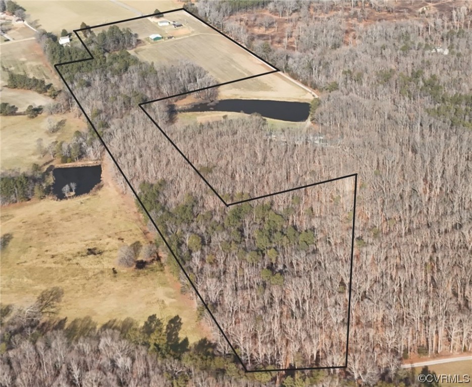 14159 Scotchtown Road Beaverdam, VA 23015 - Photo 2 of 13 Gallery Image 2