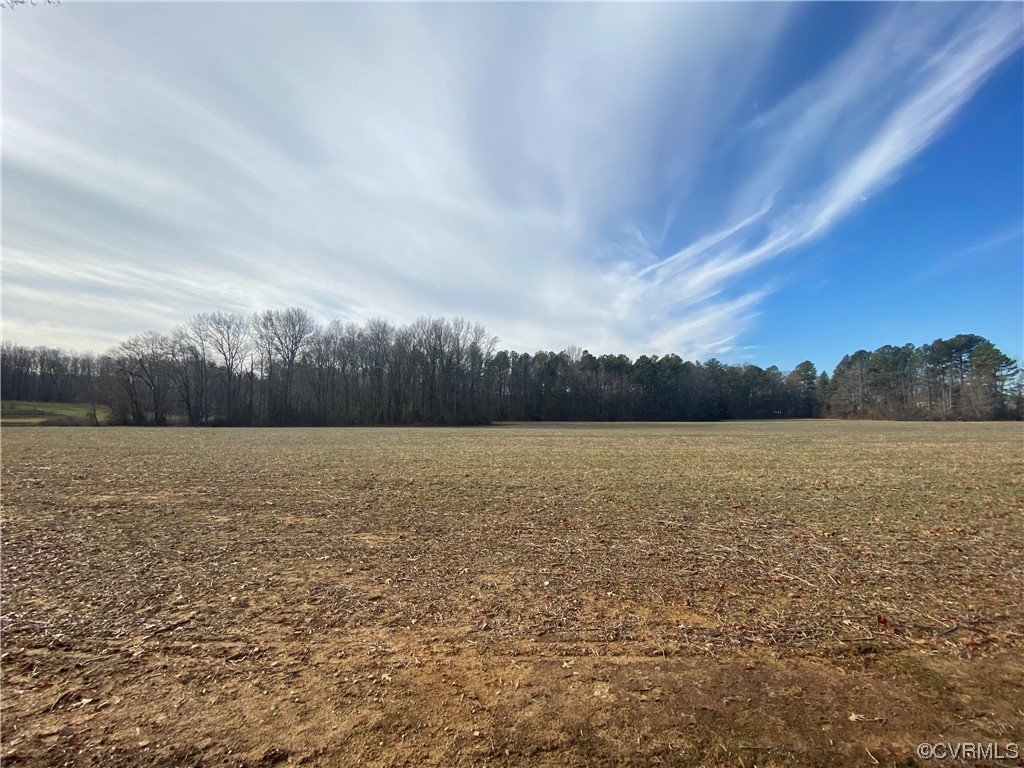 14159 Scotchtown Road Beaverdam, VA 23015 - Photo 7 of 13 Gallery Image 7
