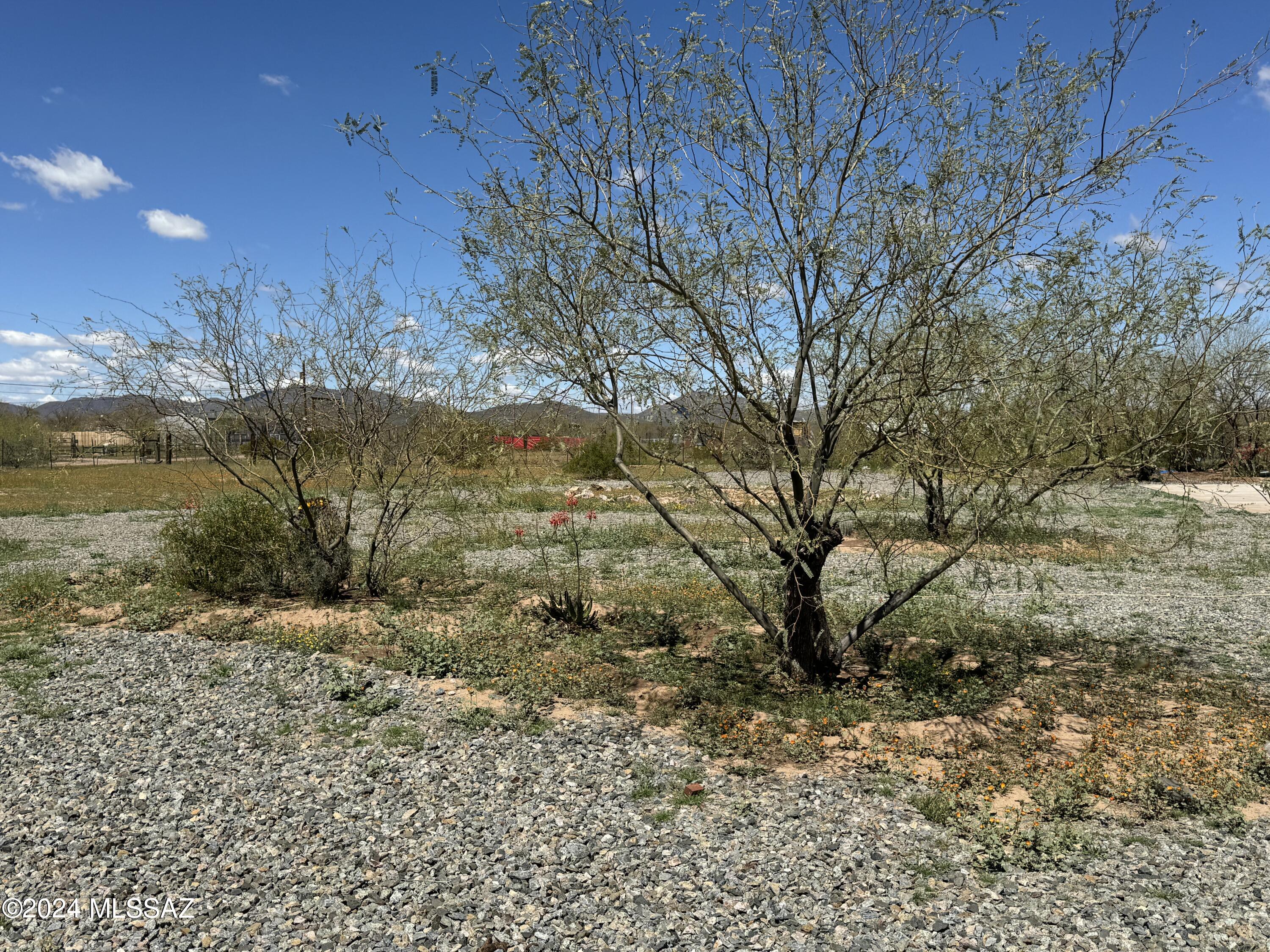 8195 South Worden Road Tucson, AZ 85735 - Photo 16 of 36 Gallery Image 16