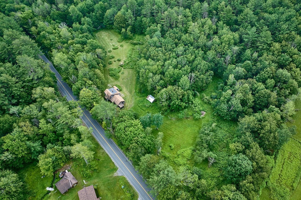 91 Radiker Road Worthington, MA 01098 - Photo 27 of 30 a view of a lush green forest with lawn chairs