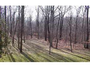 5427 East Lentz Road Bloomington, IN 47408 - Photo 9 of 12 Gallery Image 9