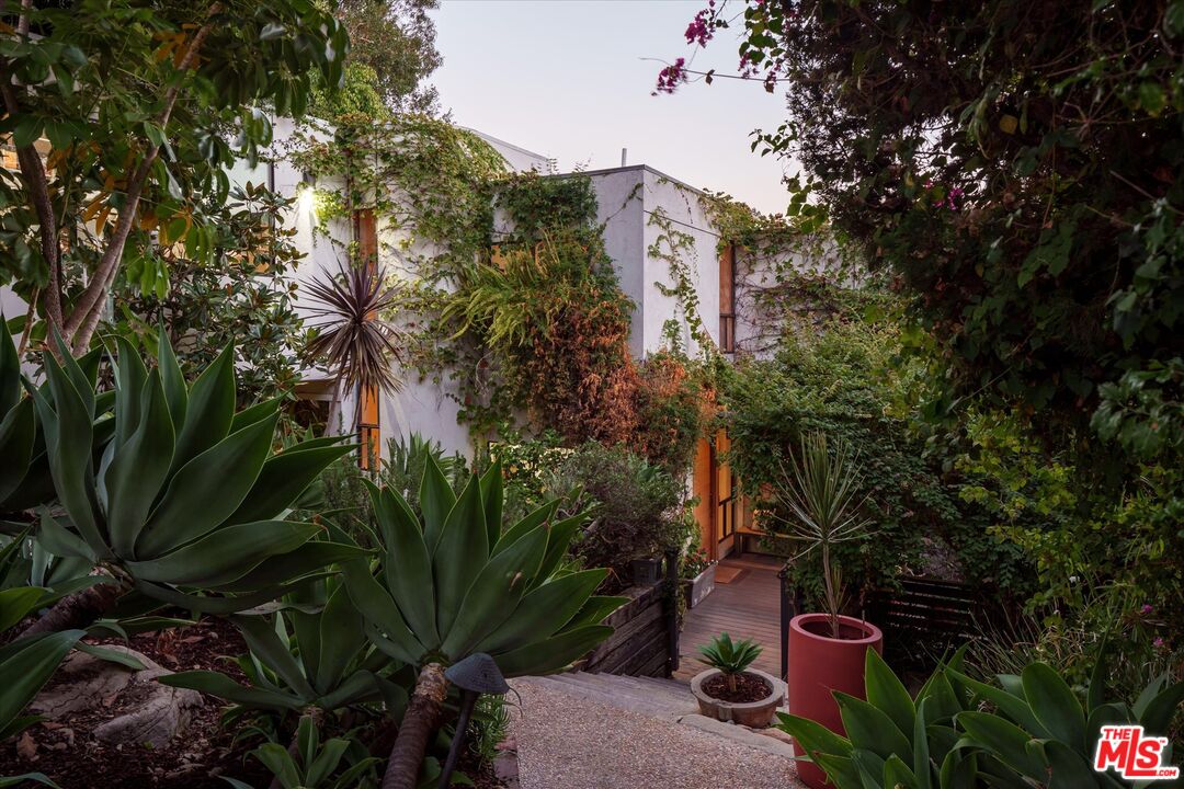 a view of a potted plants in front of building