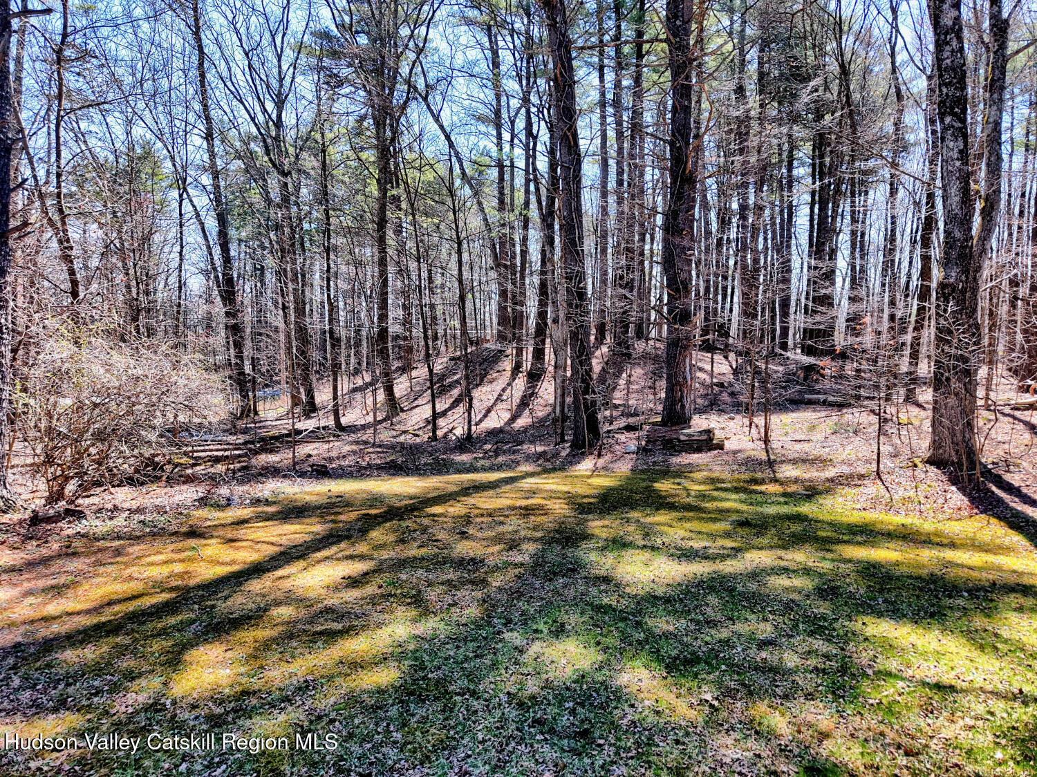 61 Joel M Austin Road Catskill, NY 12413 - Photo 75 of 83 9zzn