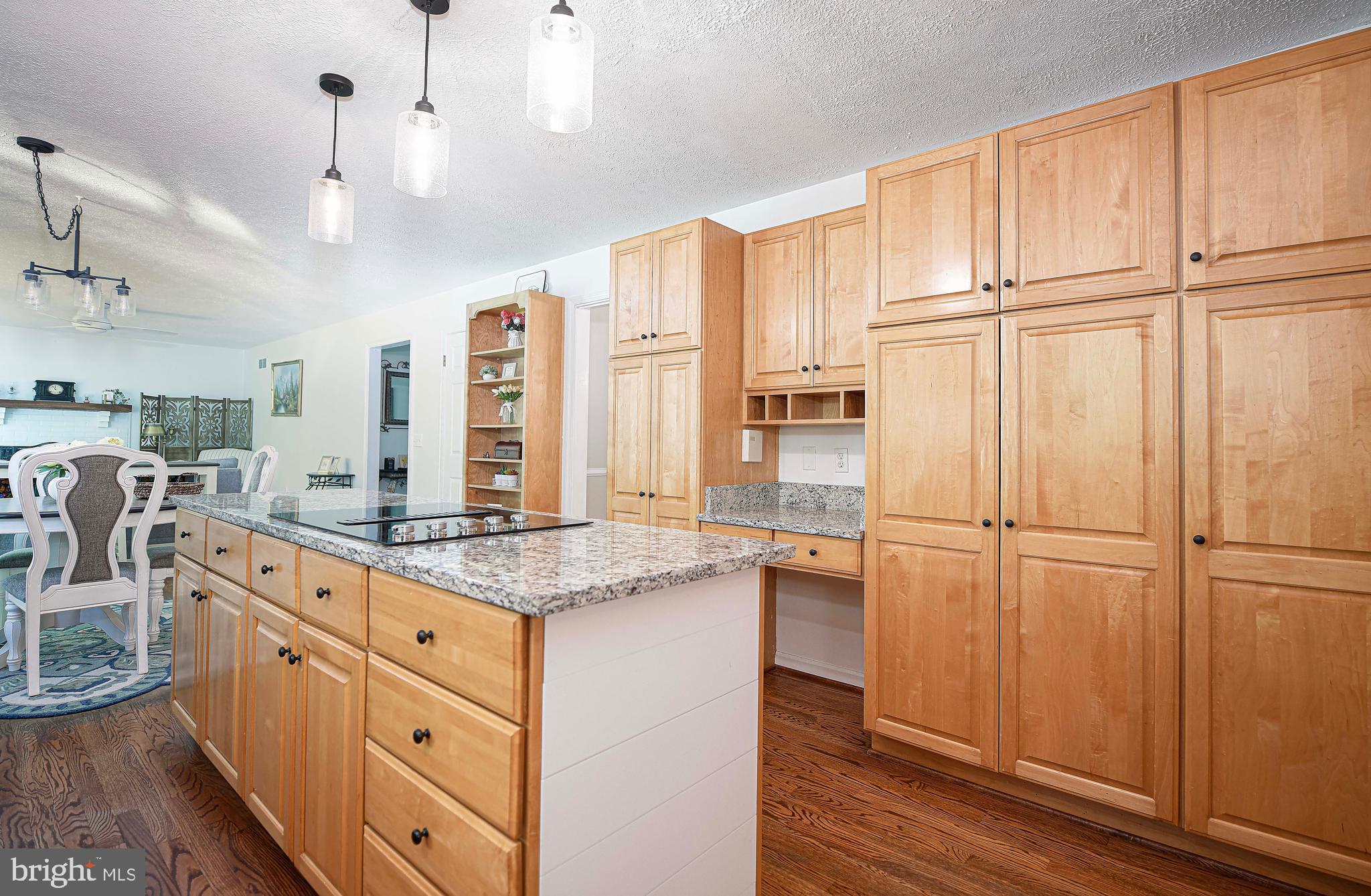 17200 Wesley Chapel Road Monkton, MD 21111 - Photo 19 of 51 Tons of cabinets