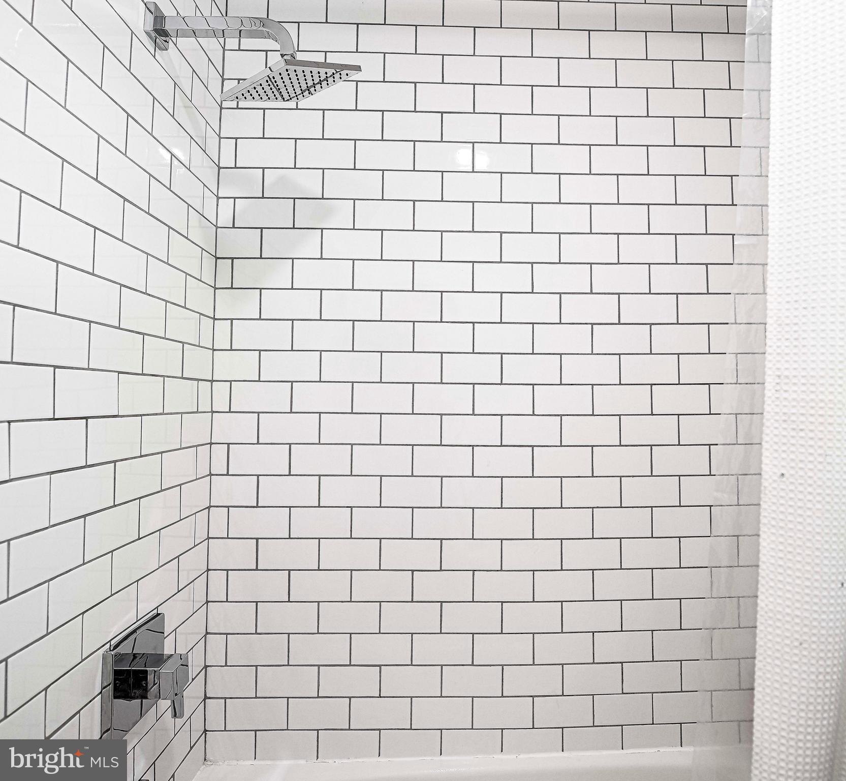 17200 Wesley Chapel Road Monkton, MD 21111 - Photo 34 of 51 Shower detail