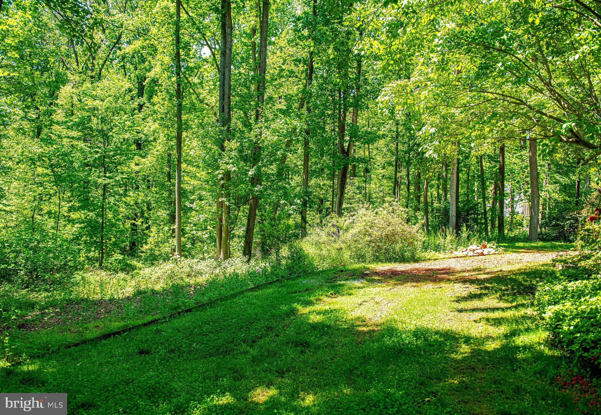 17200 Wesley Chapel Road Monkton, MD 21111 - Photo 49 of 51 View of yard