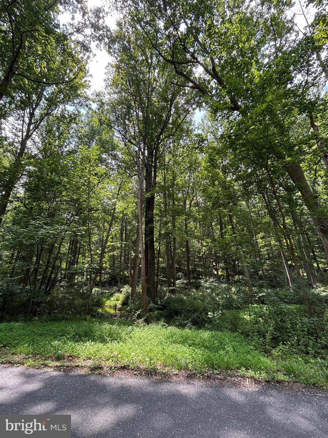 Bear Branch Road Westminster, MD 21157 - Photo 6 of 8