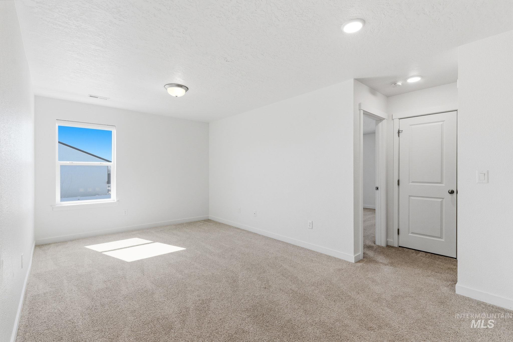 110 Homesteaders Street Middleton, ID 83644 - Photo 20 of 49 Spare room with light carpet and a textured ceiling