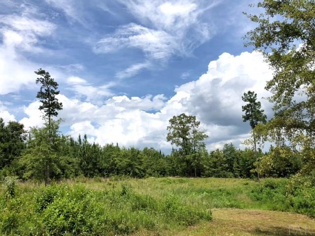 574 Hammac Road Brewton, AL 36426 - Photo 30 of 32 Gallery Image 30