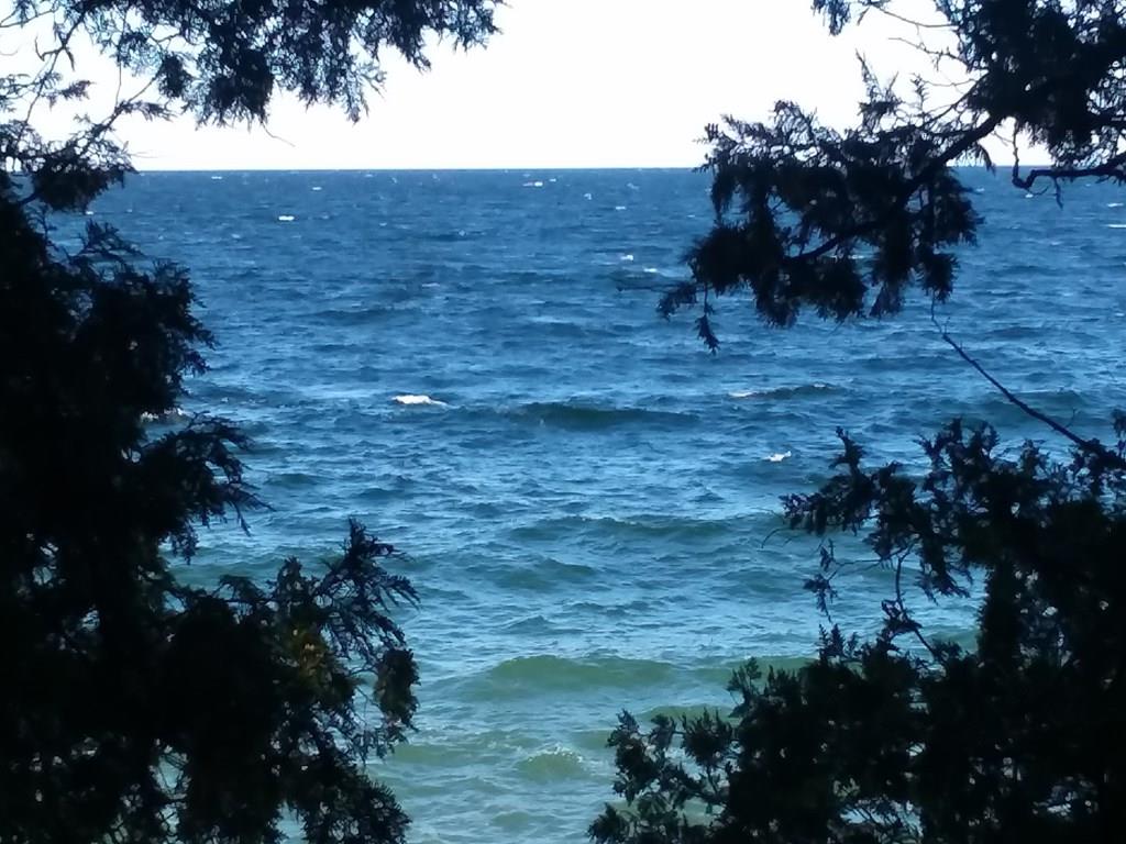 N Lot Door Bluff Road Ellison Bay, WI 54210 - Photo 2 of 9