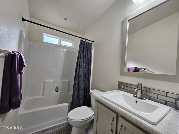 a bathroom with a sink and a toilet