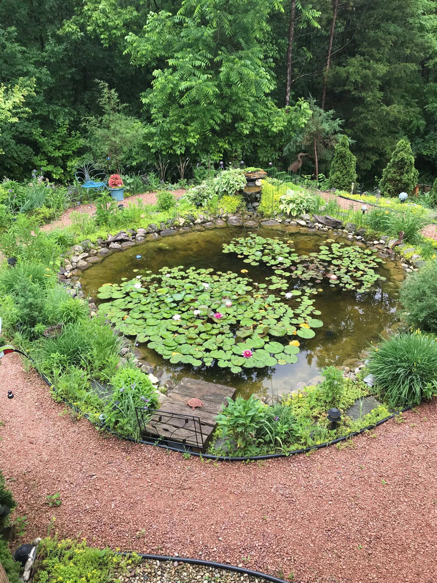 27130 89th Street Salem Lakes, WI 53168 - Photo 13 of 56 Pond with lily pads mod