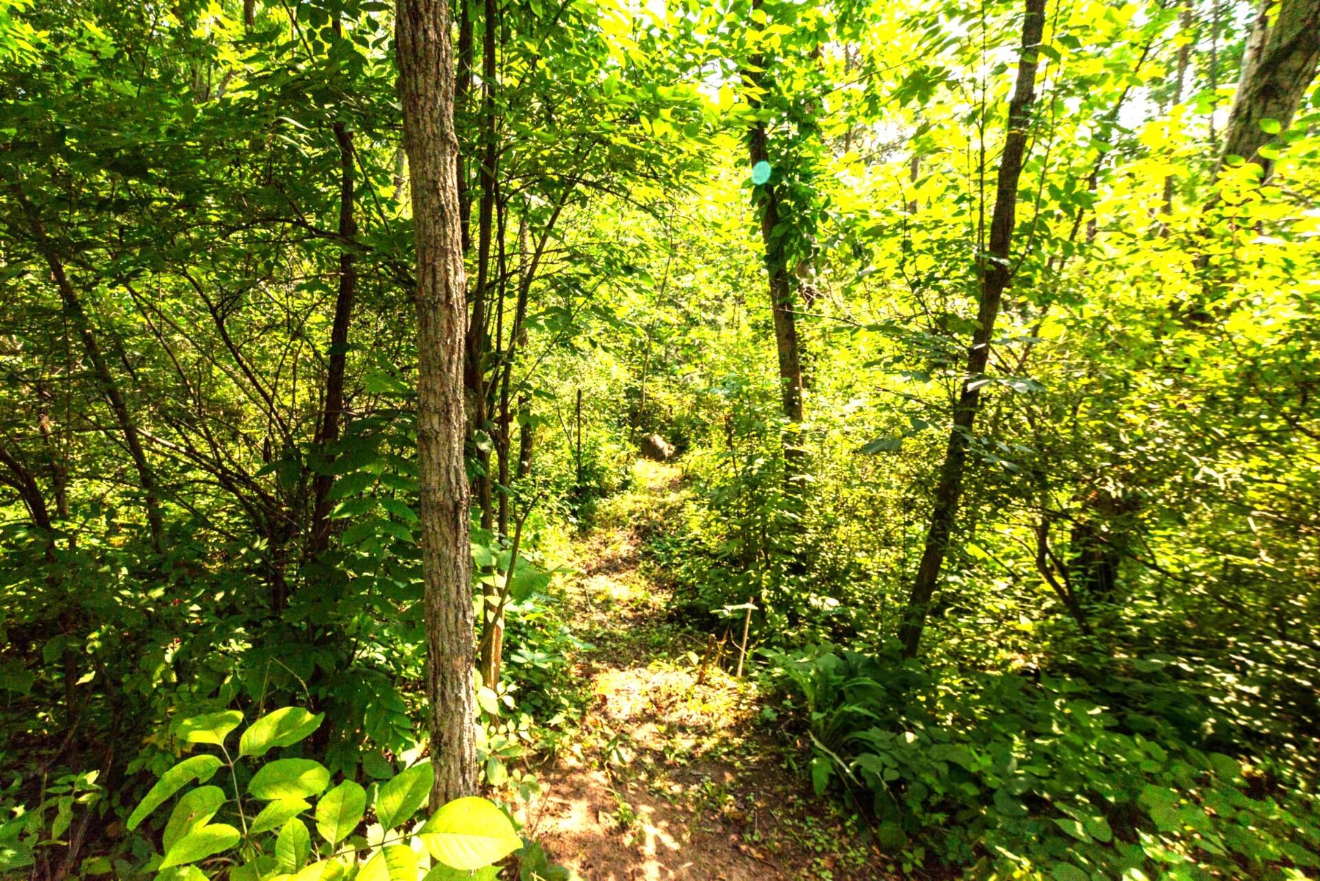 27130 89th Street Salem Lakes, WI 53168 - Photo 21 of 56 27130 89th St-7