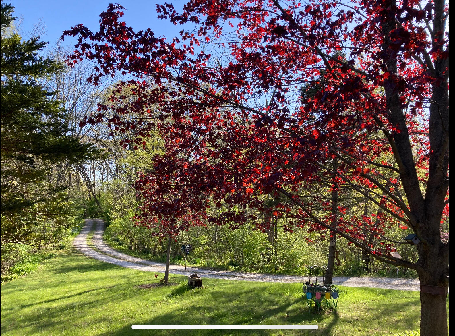 27130 89th Street Salem Lakes, WI 53168 - Photo 7 of 56 IMG_9346