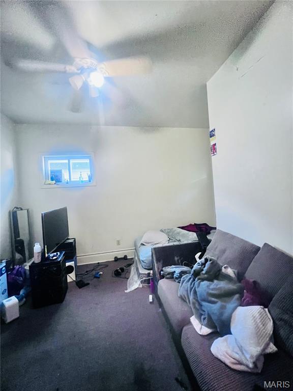 3857 Neosho Street St. Louis, MO 63116 - Photo 12 of 16