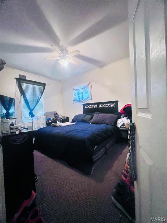 3857 Neosho Street St. Louis, MO 63116 - Photo 10 of 16