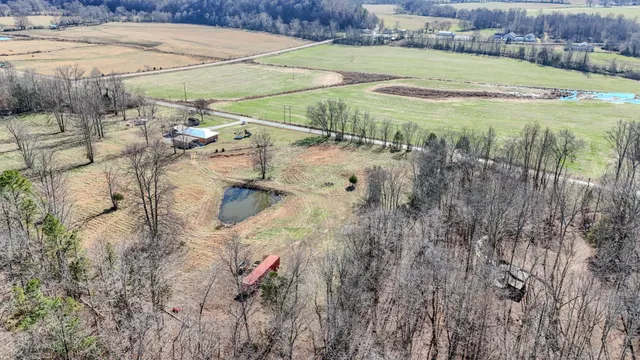 a living room with furniture a fireplace and a chandelier