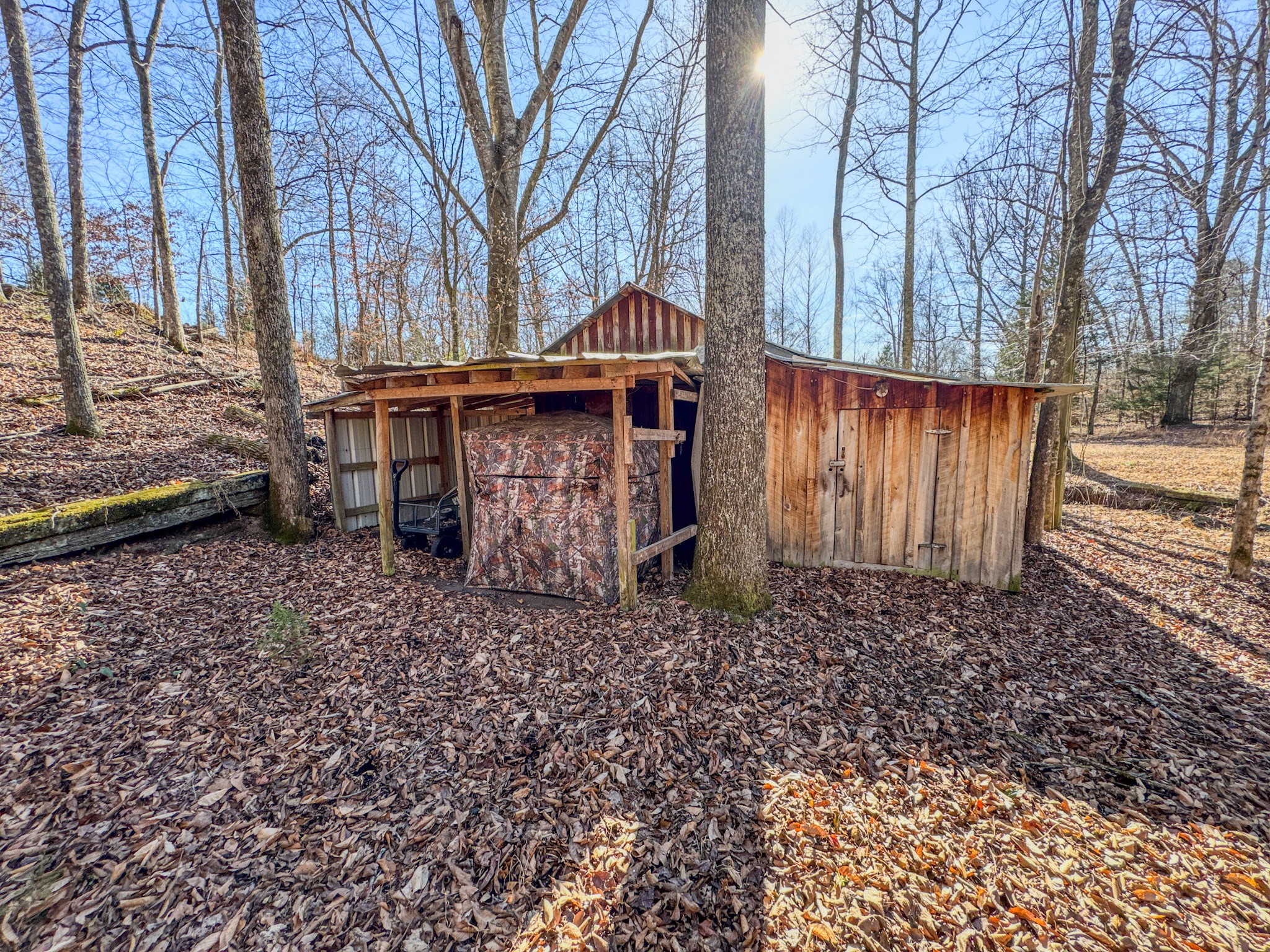 7279 Pinhook Pike Road Collinwood, TN 38450 - Photo 32 of 52