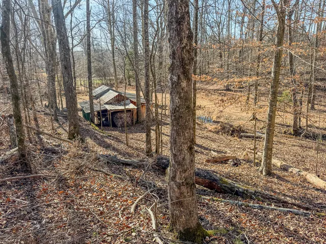 a view of a backyard with furniture and a tub