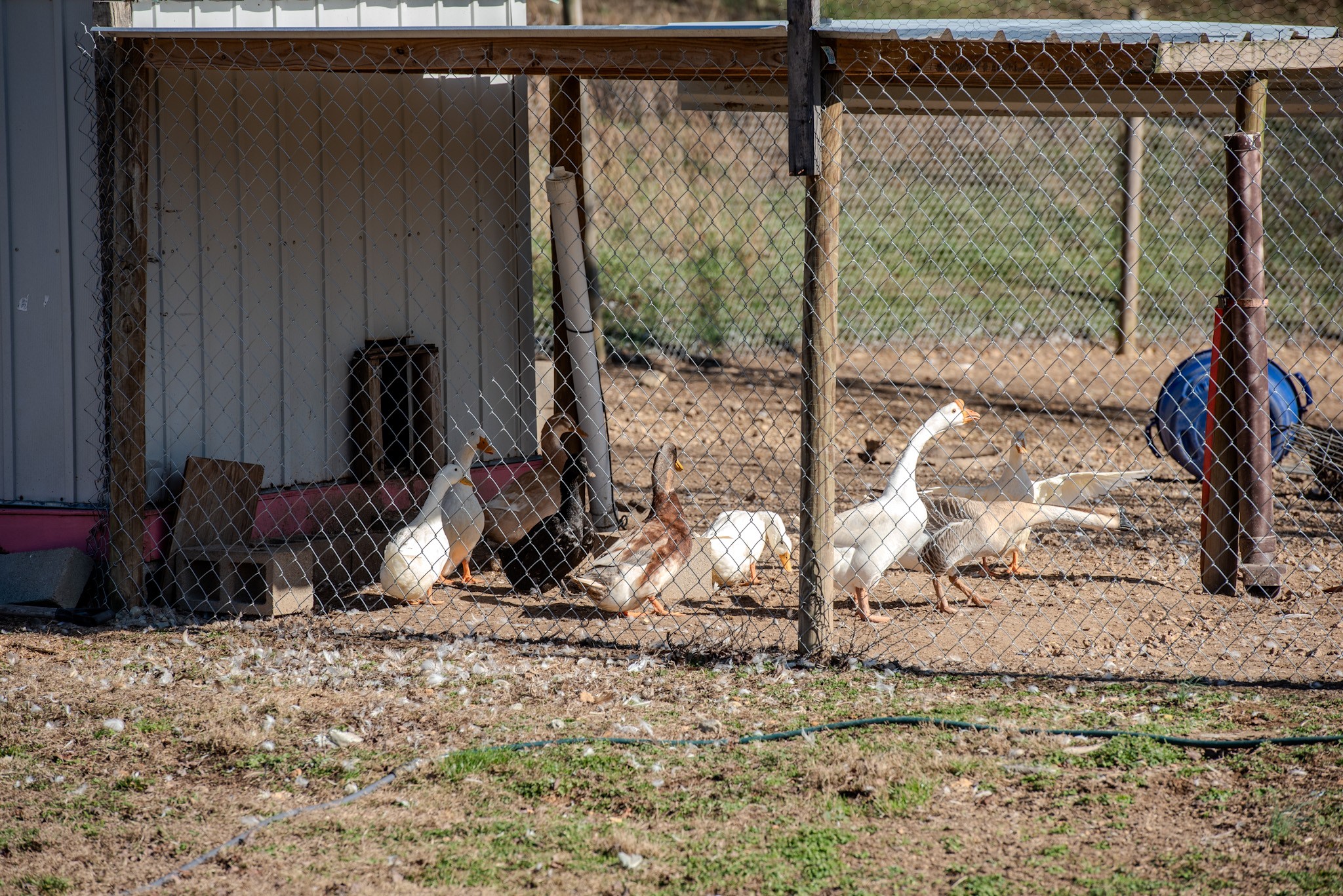 7279 Pinhook Pike Road Collinwood, TN 38450 - Photo 38 of 52