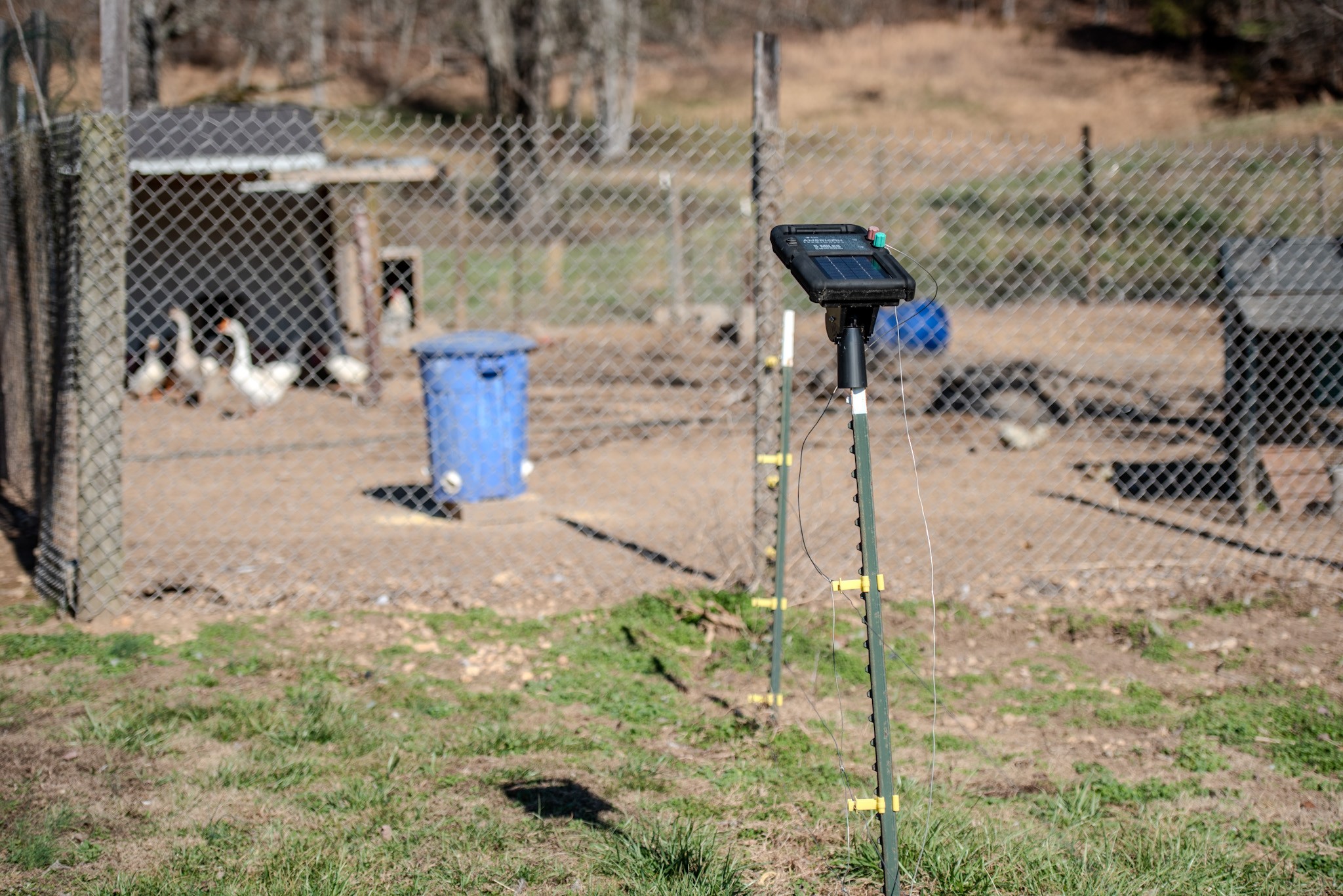 7279 Pinhook Pike Road Collinwood, TN 38450 - Photo 40 of 52