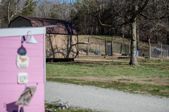 a view of a wooden fence and a window