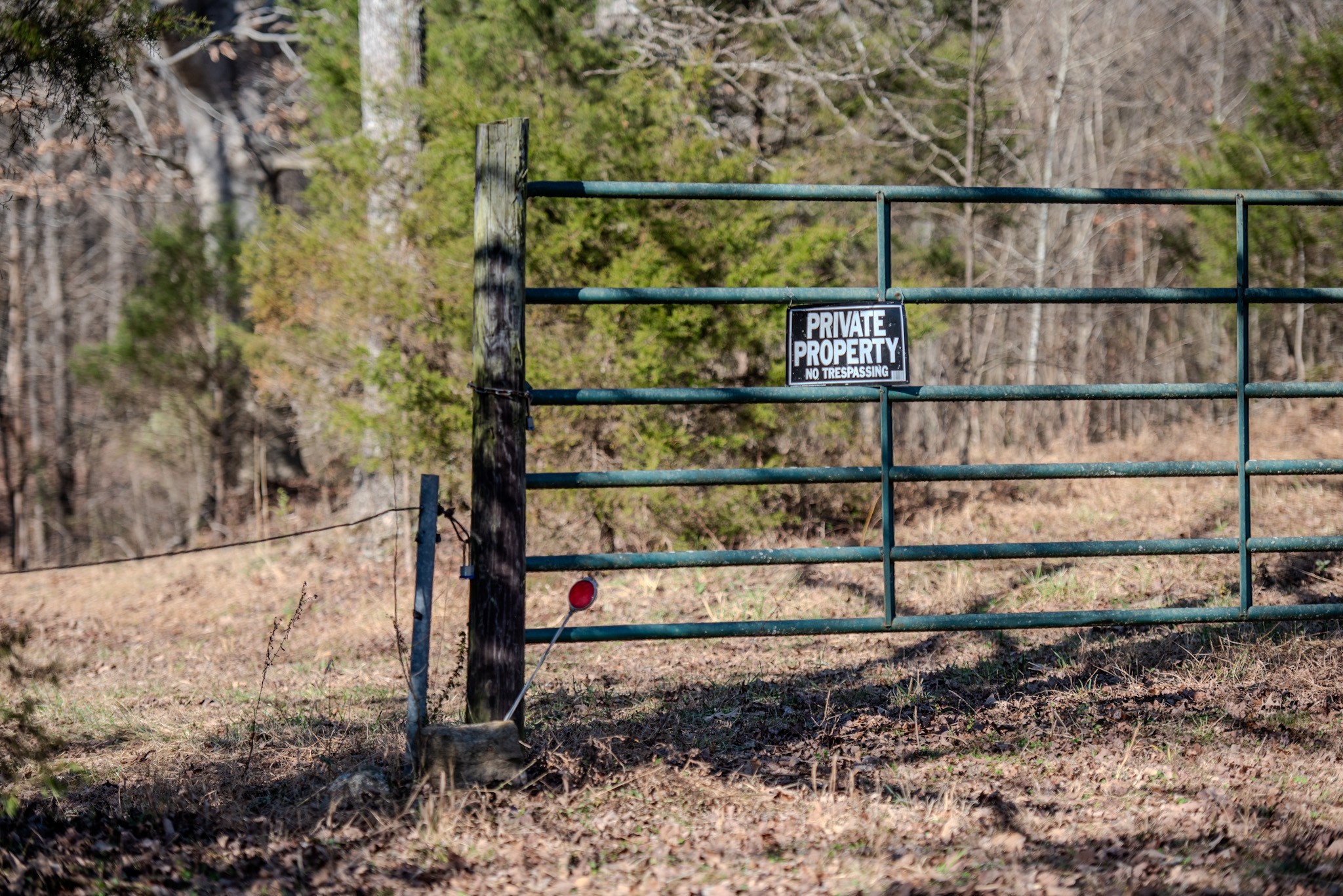 7279 Pinhook Pike Road Collinwood, TN 38450 - Photo 48 of 52