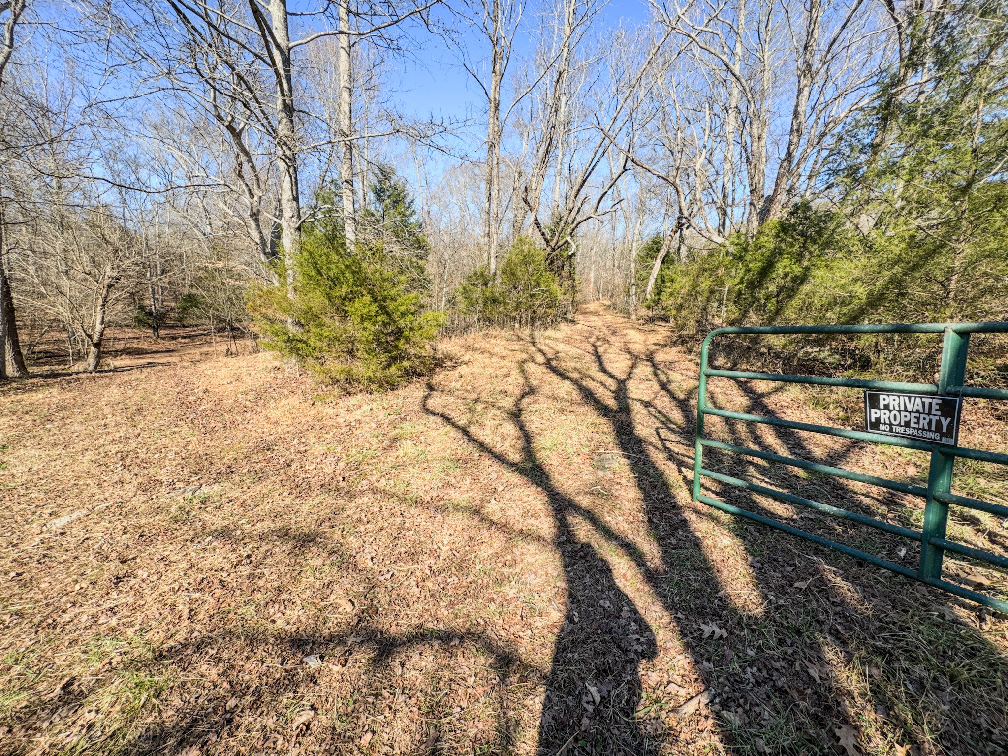 7279 Pinhook Pike Road Collinwood, TN 38450 - Photo 49 of 52