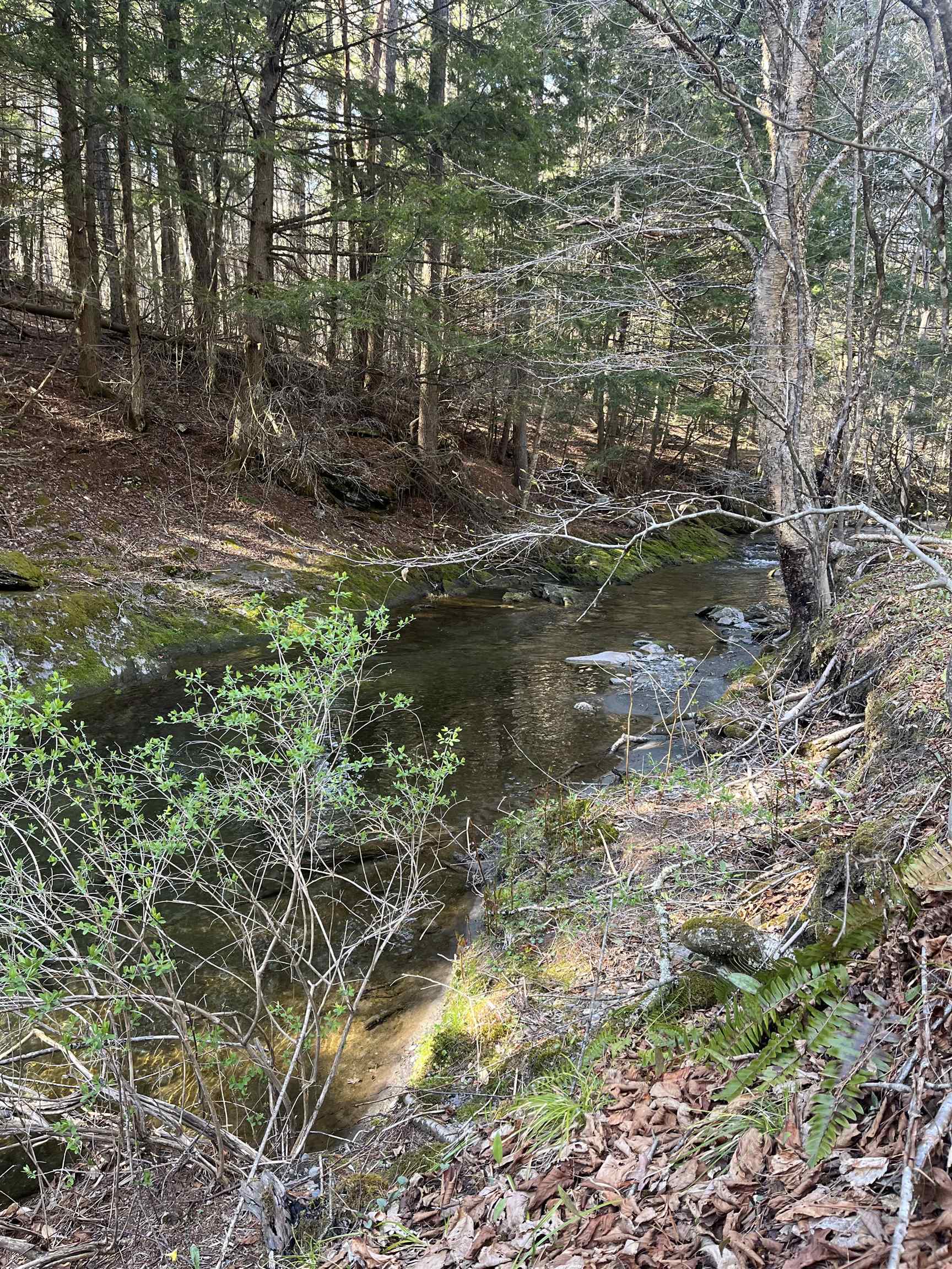 2537 East Hubbardton Road Castleton, VT 05735 - Photo 48 of 52