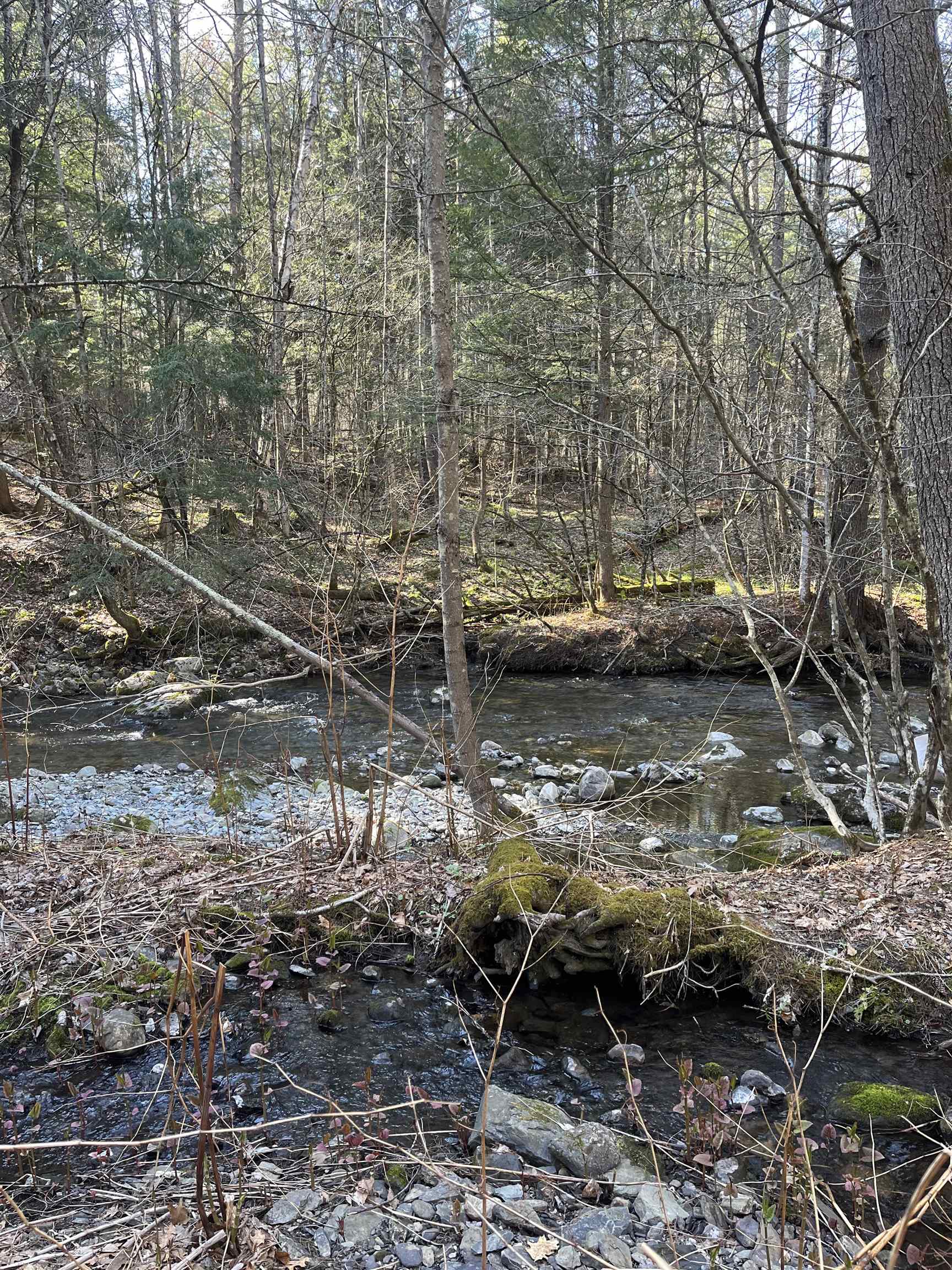 2537 East Hubbardton Road Castleton, VT 05735 - Photo 49 of 52