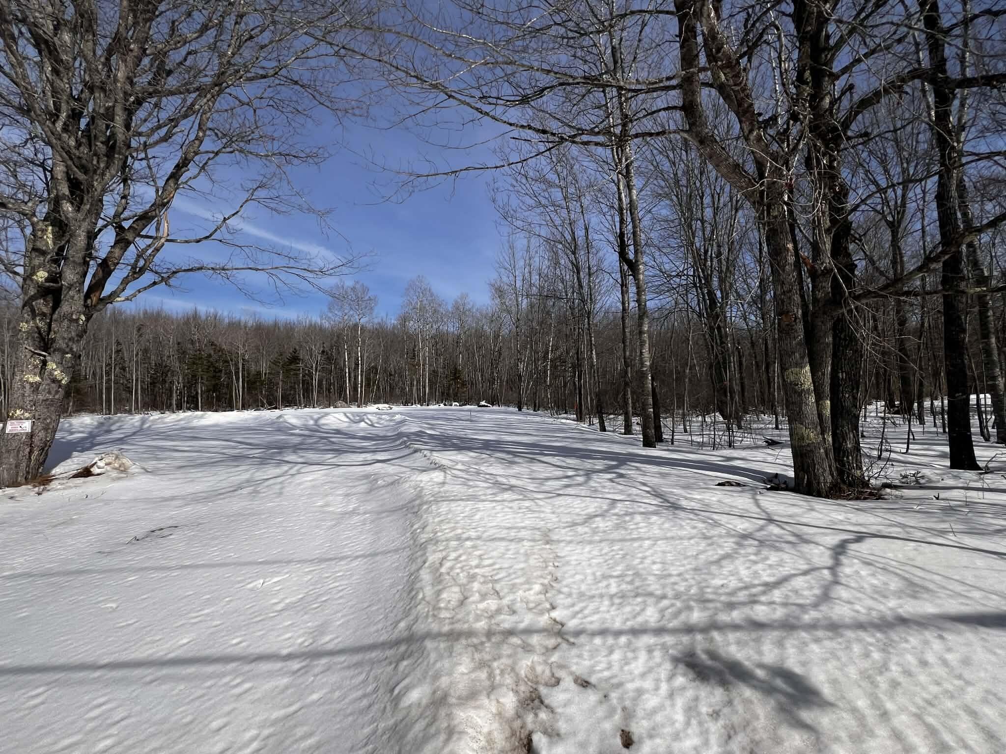 322 Surry Road Orland, ME 04472 - Photo 8 of 9 d398fa21-a762-40d9-8fb8-24663a7e2d09