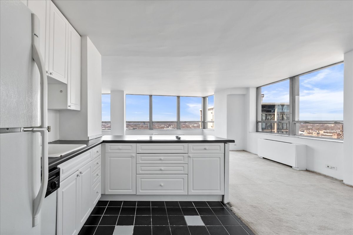 5701 North Sheridan Road, Unit 17B Chicago, IL 60660 - Photo 6 of 19