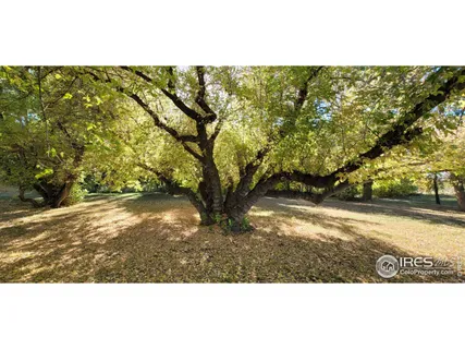 a view of outdoor space and yard